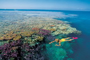 Развлечения, экскурсии и достопримечательности Большого Барьерного рифа