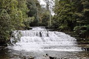 Безмятежный водопад Лиффи в Тасмании