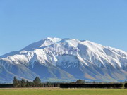 Новая Зеландия в 2007
