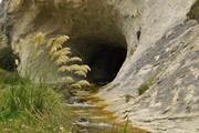 Заповедник Cave Stream Scenic Reserve